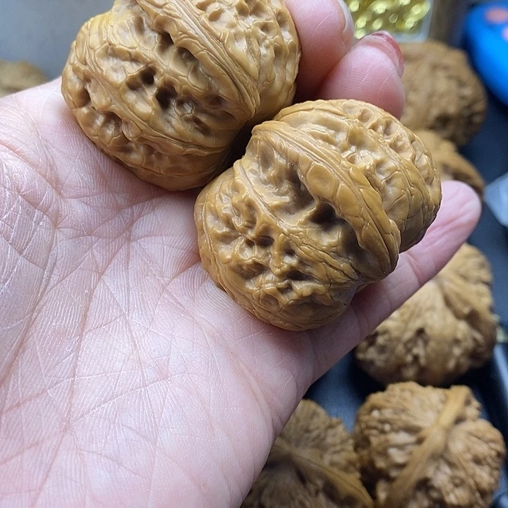 吊坠龙脊菩提元宝44