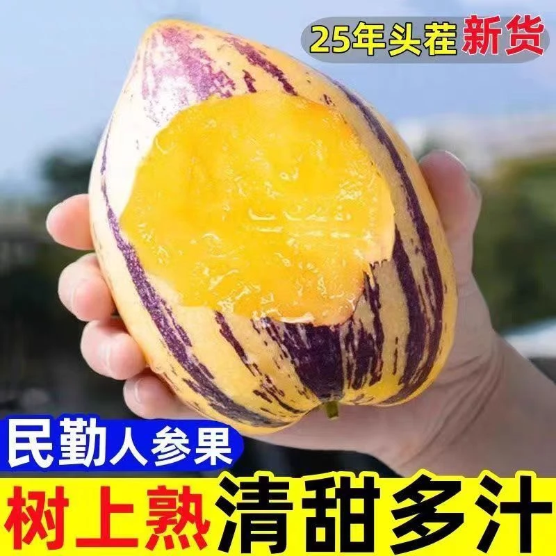 民勤沙漠人参果黄皮水果产地直发当季新鲜水果精品大果助农水果