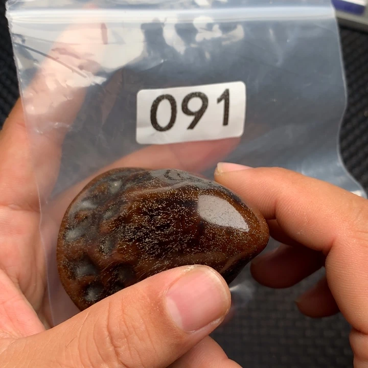 大果紫檀（缅甸花梨）