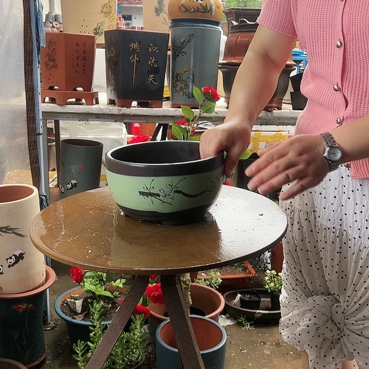 苹果绿萝小花盆花盆花盆