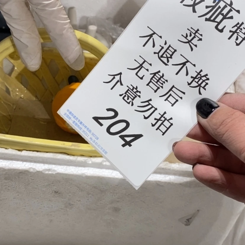 【闪购商品】摆件绿****海陶瓷摆件瑕疵特卖