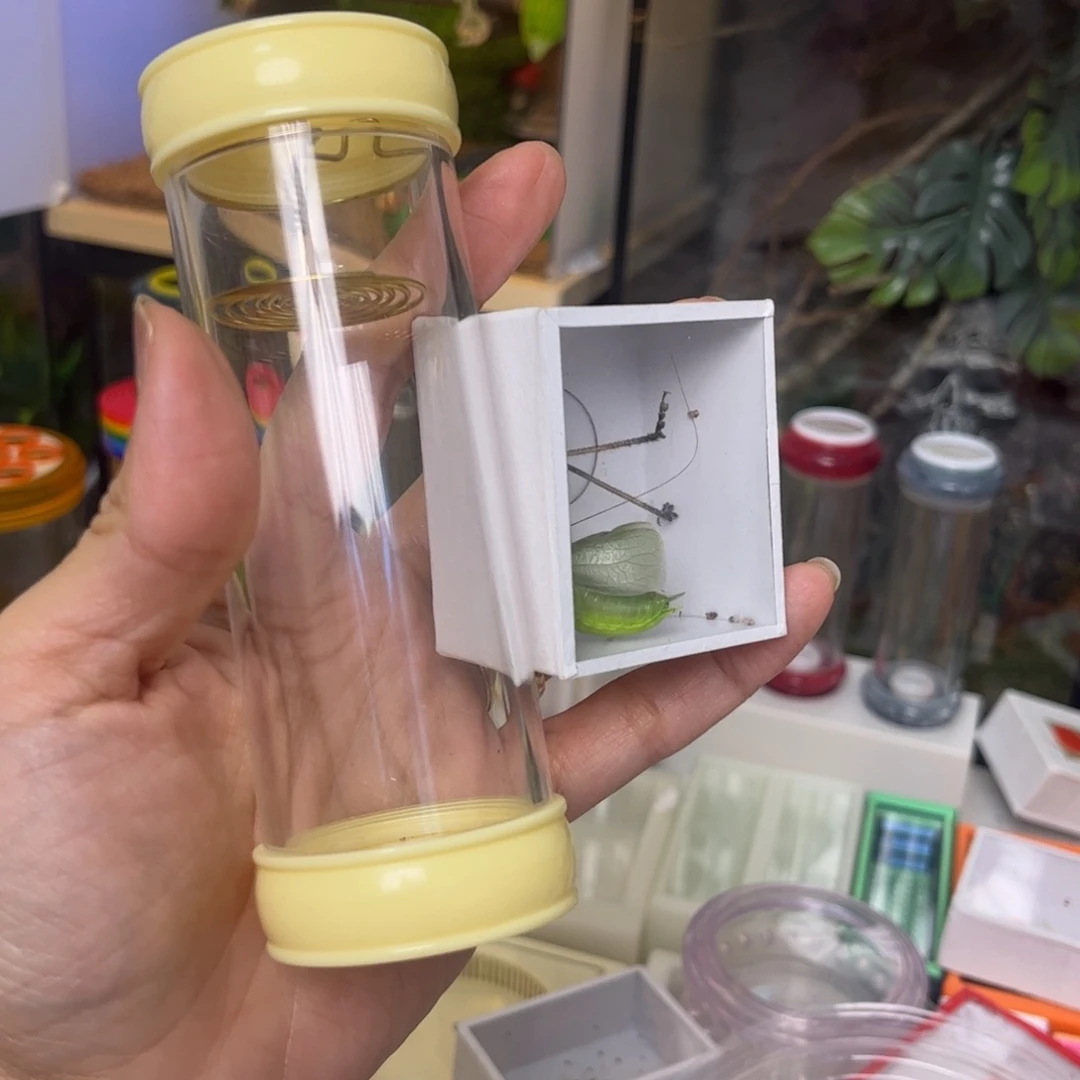 扎嘴加桶拍拍拍拍