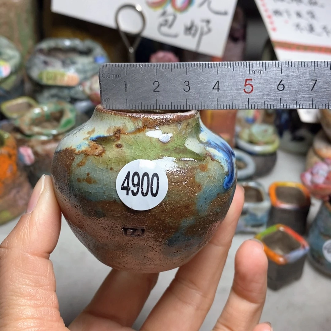 花盆拍5送一个小礼物