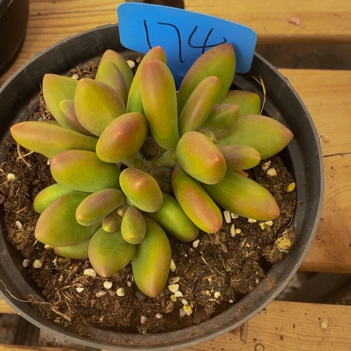 在家闲不住也可以用上这