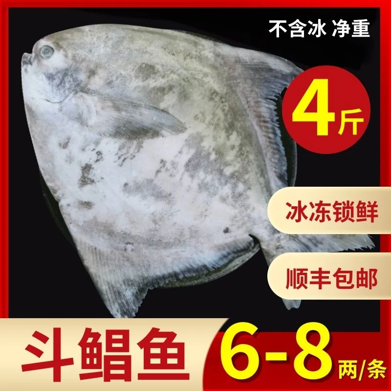 【到手6条】野生斗鲳鱼每条6两-8两中华鲳冷冻海鱼顺丰包邮