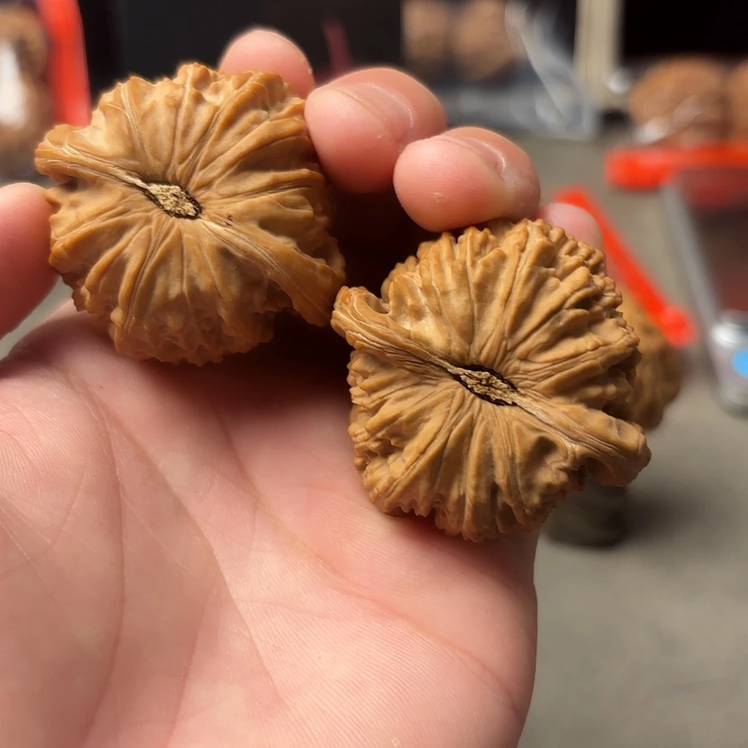 涛***恩核桃手串/手链88888