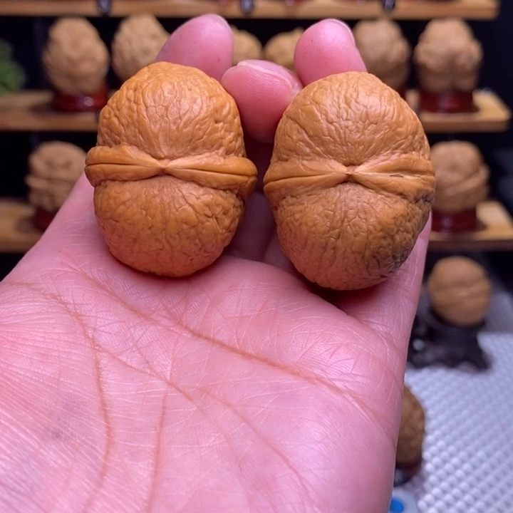 木质类云铁光头强117号