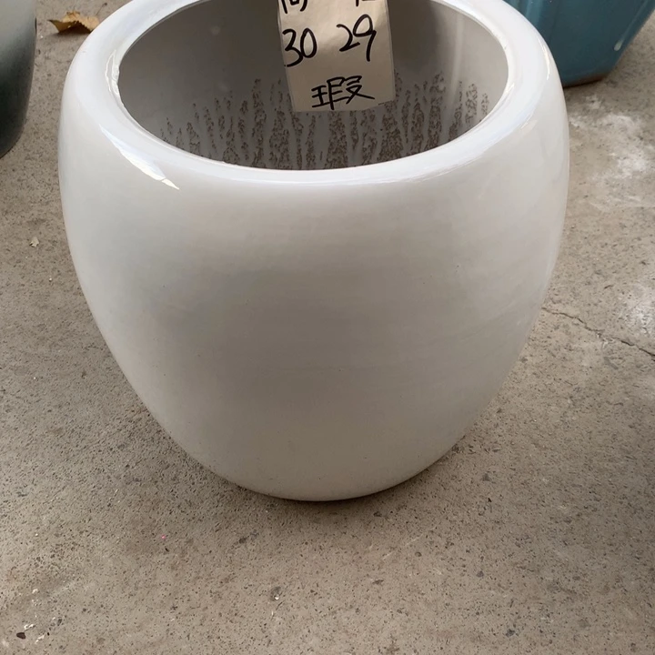 花盆里的小猫咪也是可爱的小