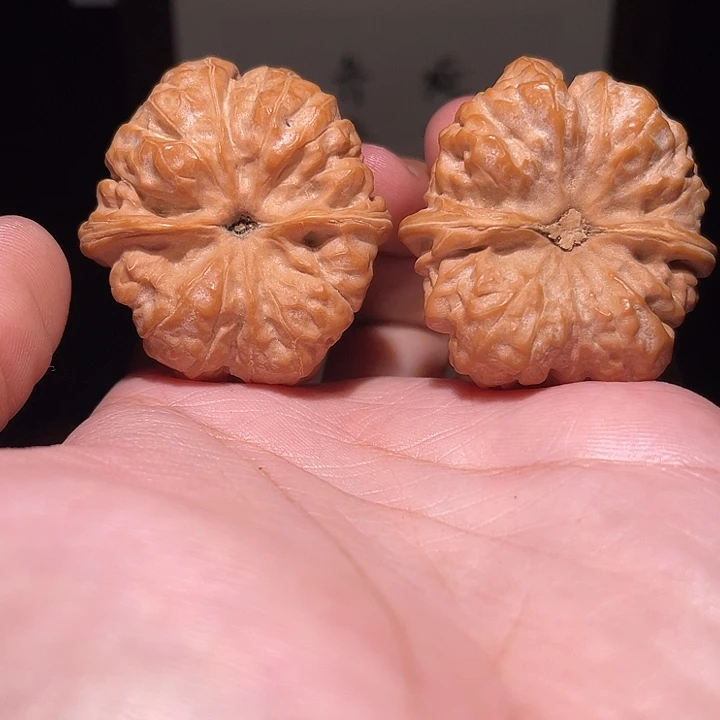 核桃手串/手链蛤蟆头核桃