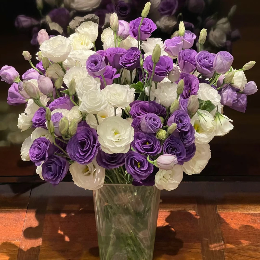 云南鲜花洋桔梗紫色+白色组合家用花束插花同城配送