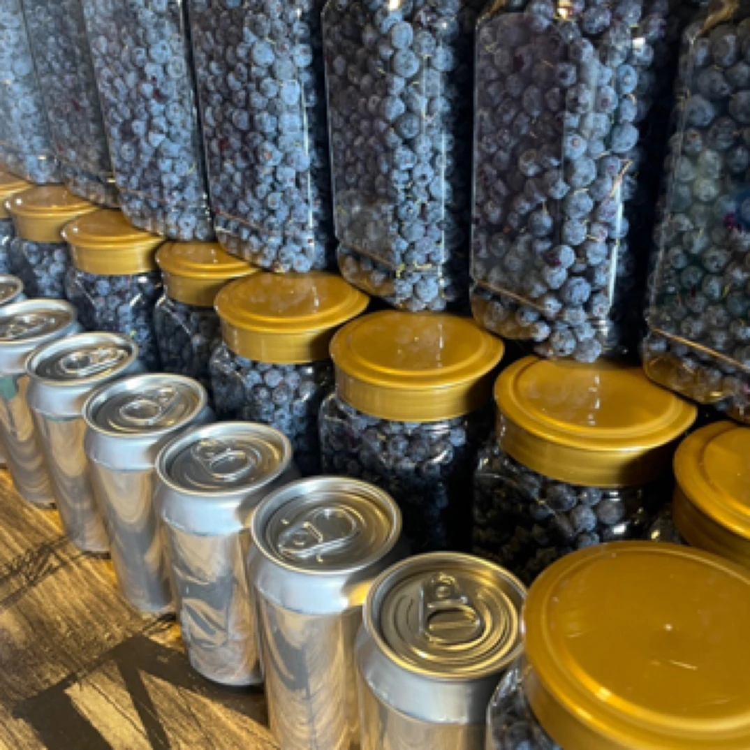 大兴安岭野生蓝莓都柿果鲜果发货会出汁爆浆，顺丰有运费发空运