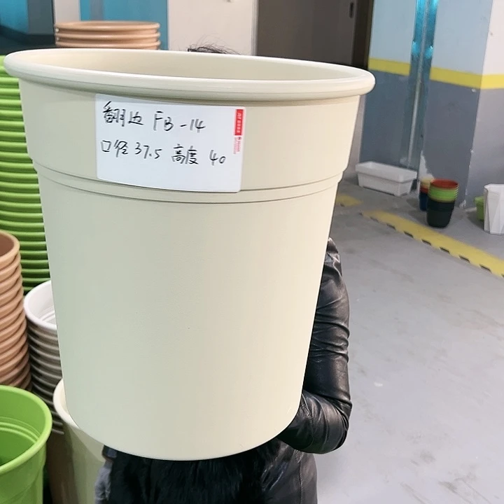 正品翻边口37.5高40米色无托3只