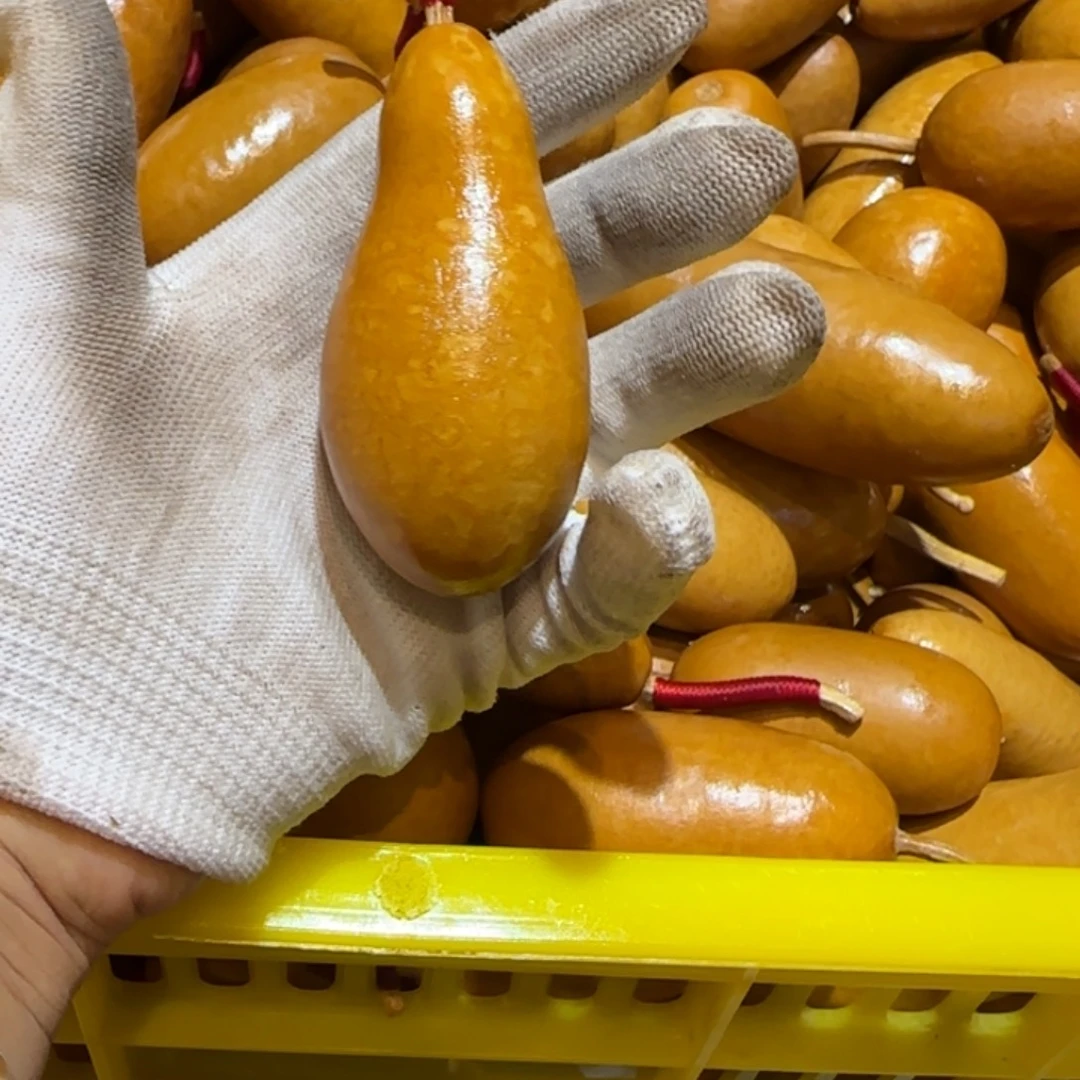 广***店哈哈哈哈哈哈哈哈