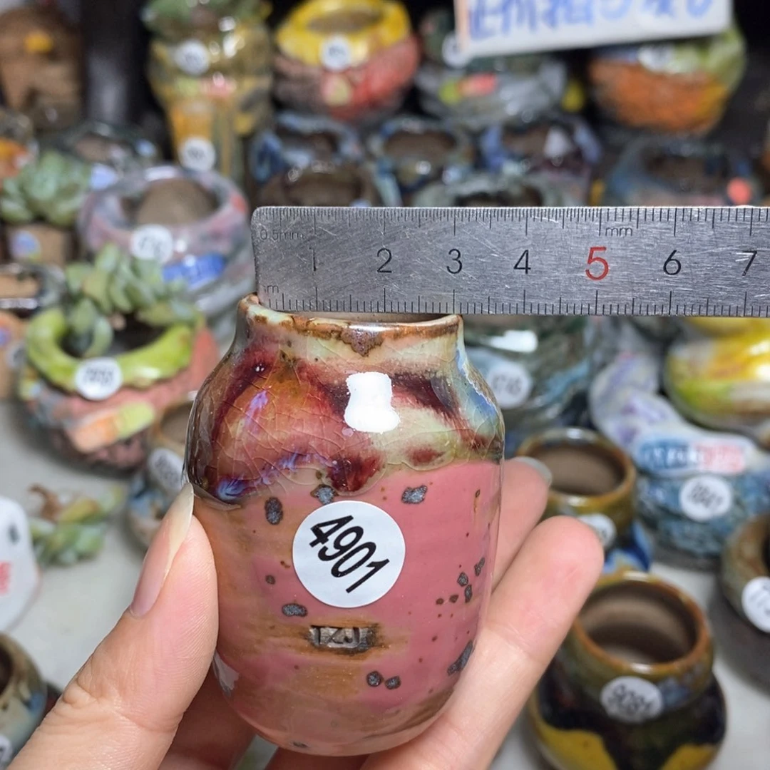 拍5送一个小礼物