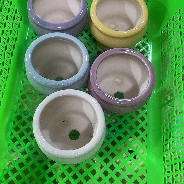花盆抢购清货马上开始
