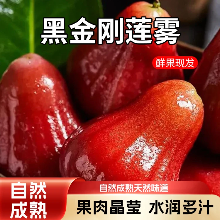 海南黑金刚莲雾果新鲜热带水果特产精选水果多汁