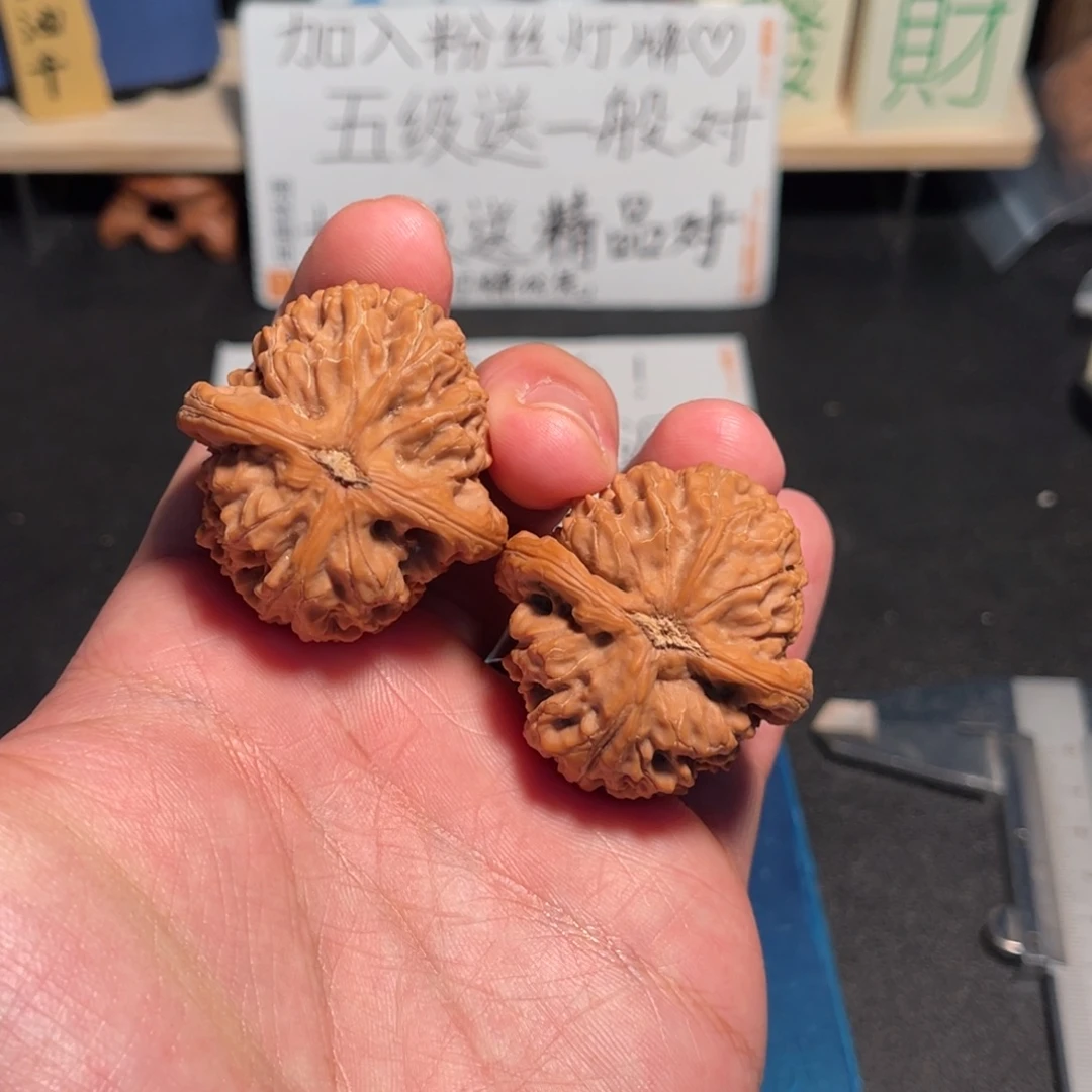 38水龙纹修的大开播福利