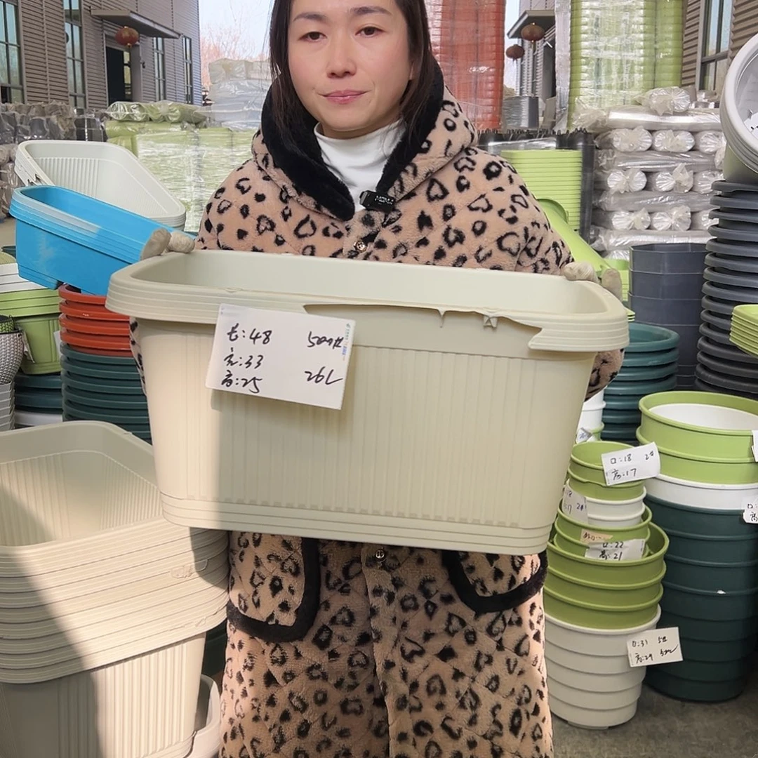 瑕疵菜盆500#米白3个无托