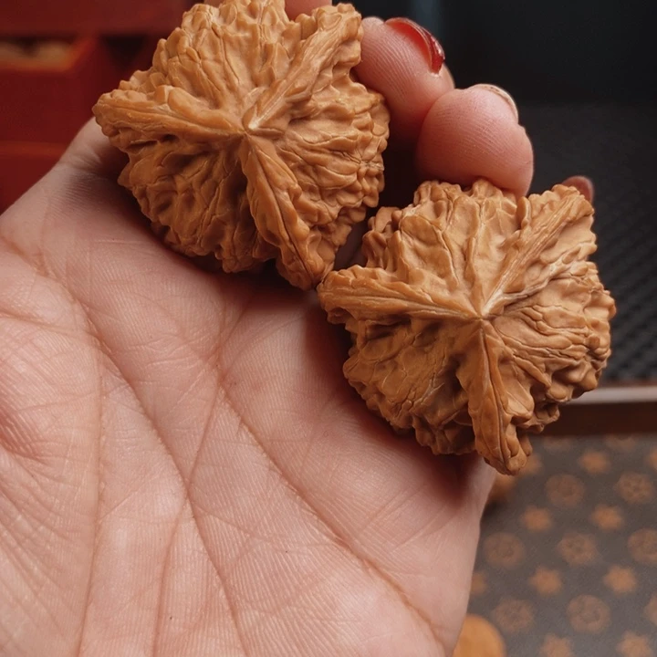核桃盘山三棱39尺核桃