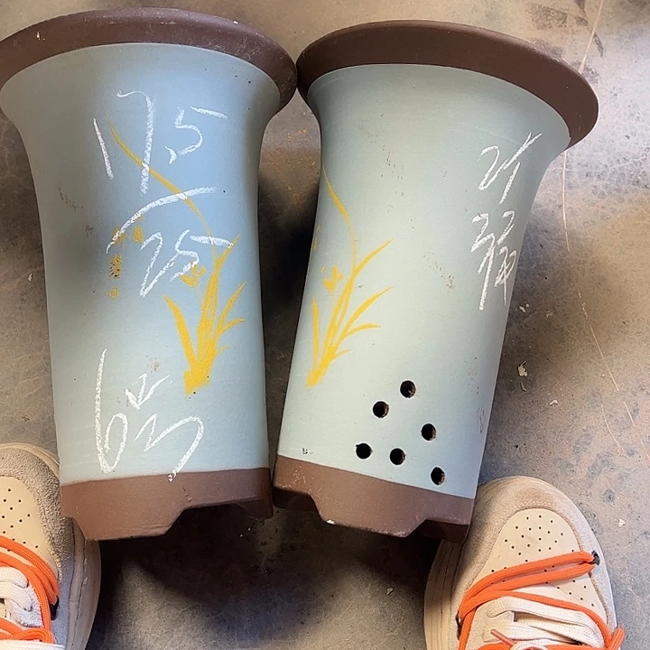 6号………………………………………………