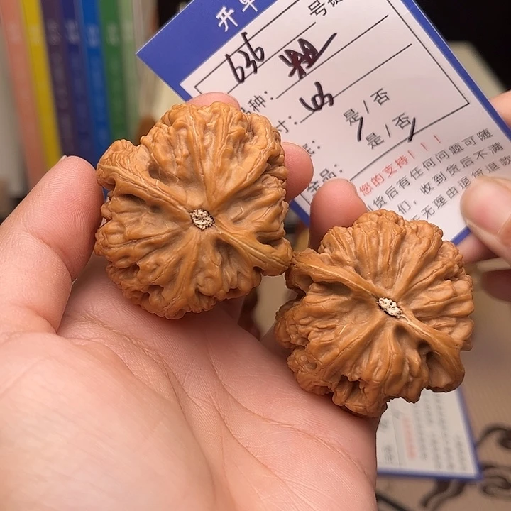 文玩核桃手捻核桃636