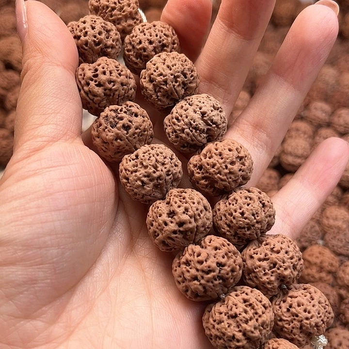 手串金刚菩提超头蜂王20