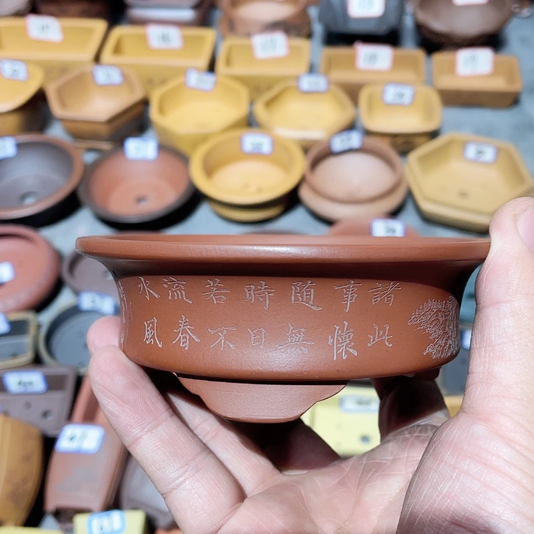 紫砂小盆10*3cmmmm