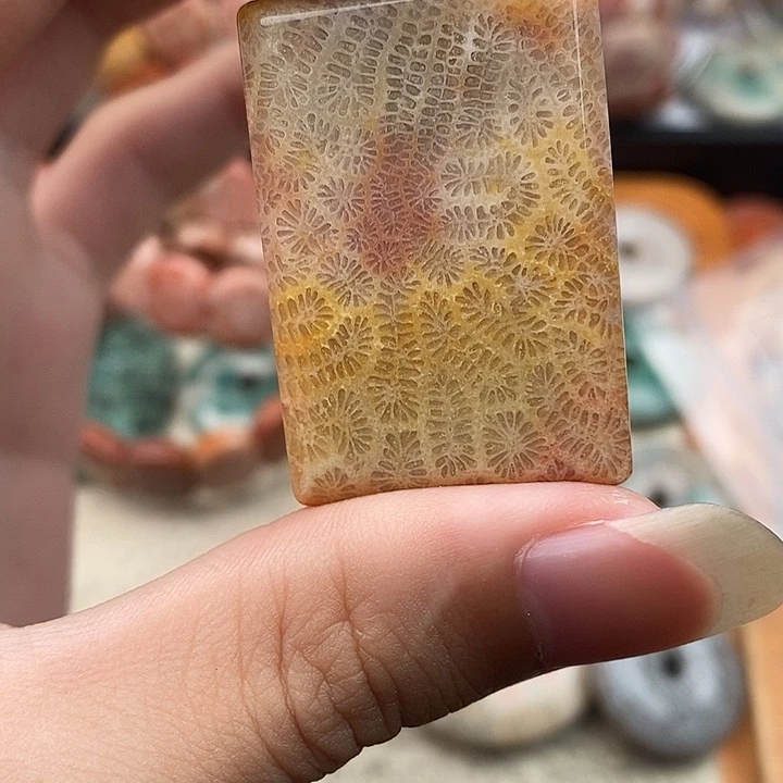 鱼***鱼硅化玉颈饰未镶嵌