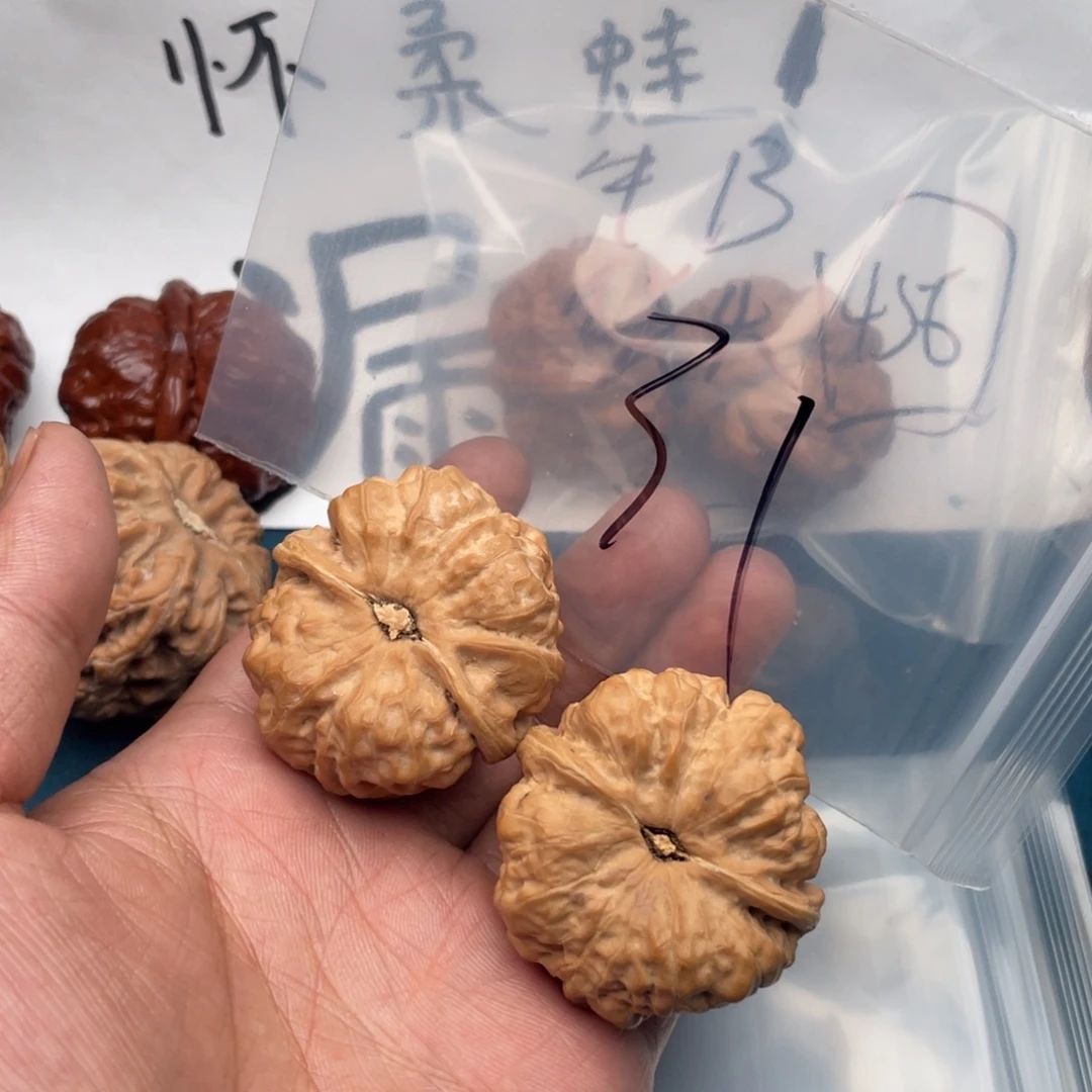 核桃W794479947947496947946