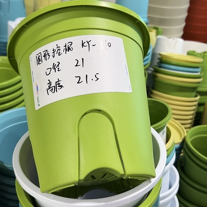 正品圆控口21高21果绿无托8只