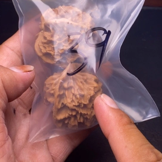 【闪购商品】把件文玩核桃打包