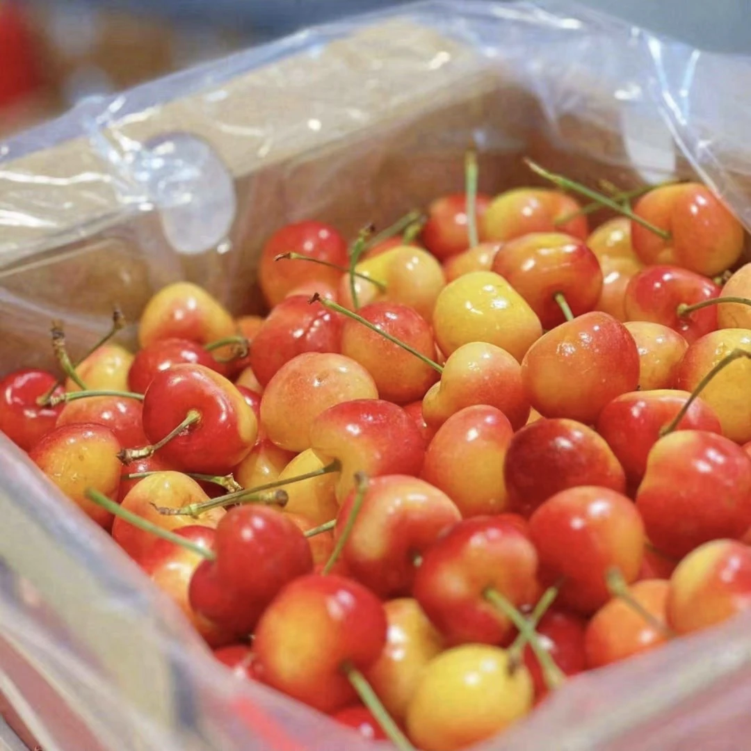 智利进口3J金车厘子250g 新鲜海运到货甜脆可口智利