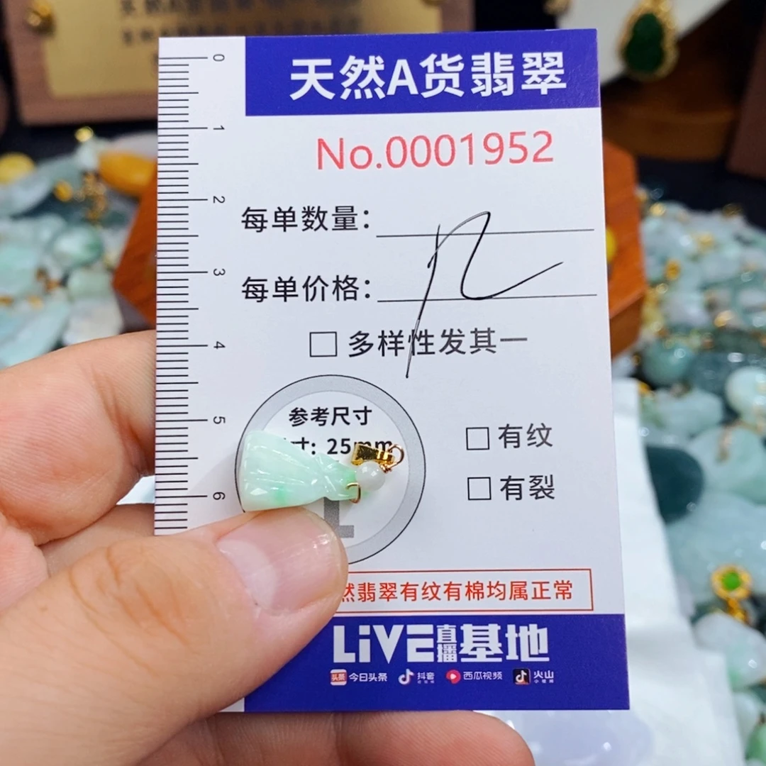翡翠未镶嵌颈饰1952