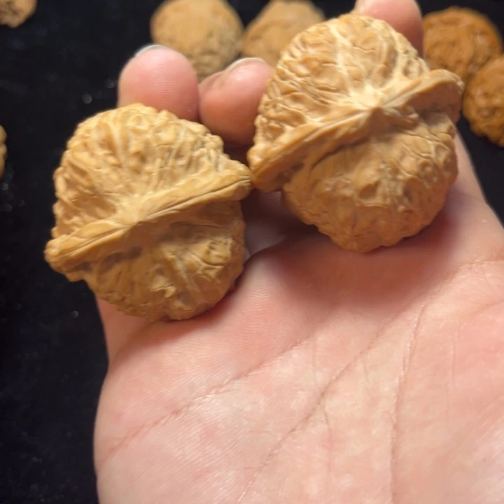 文玩核桃南瓜墩全品