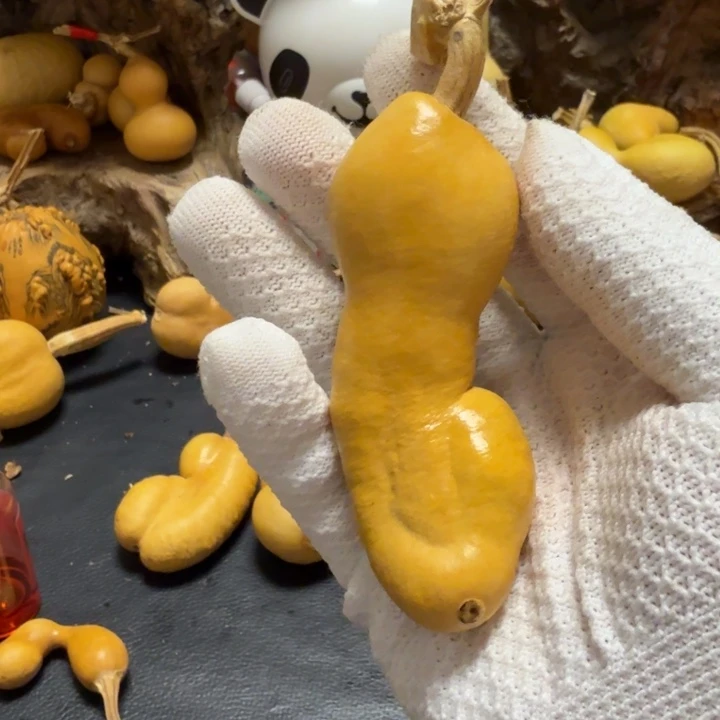 简***单风烈6666666666666