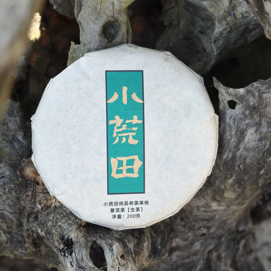 小荒田古树纯品2024生普200克