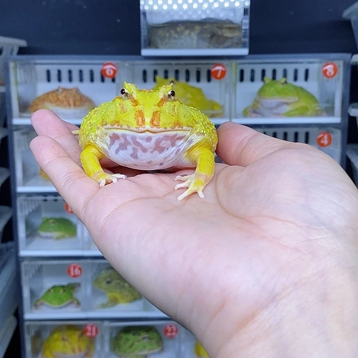 特价秒杀现货特价残