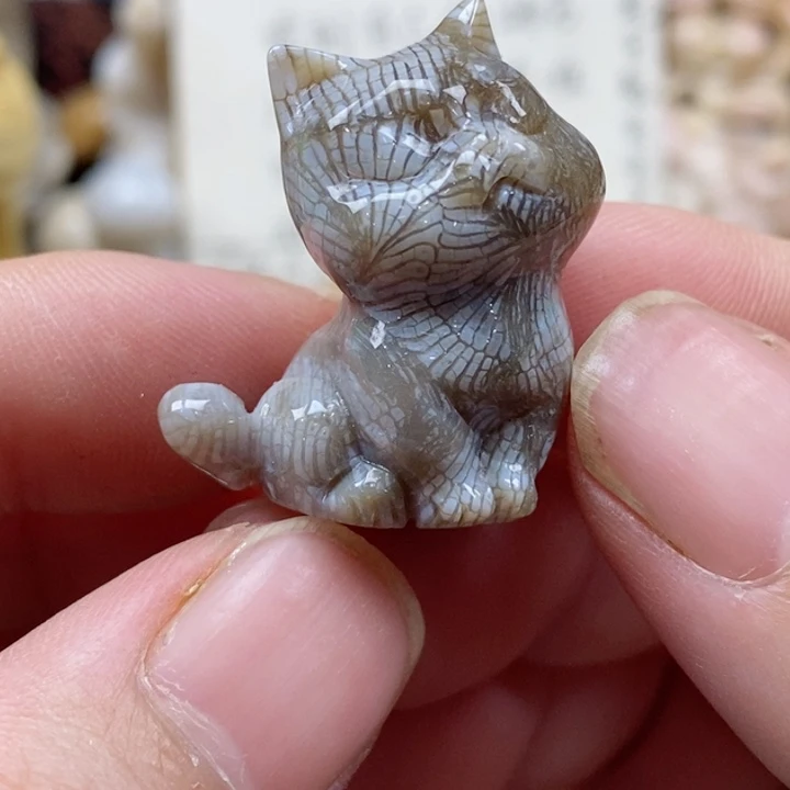 颈饰未镶嵌硅化珊瑚（珊瑚玉）