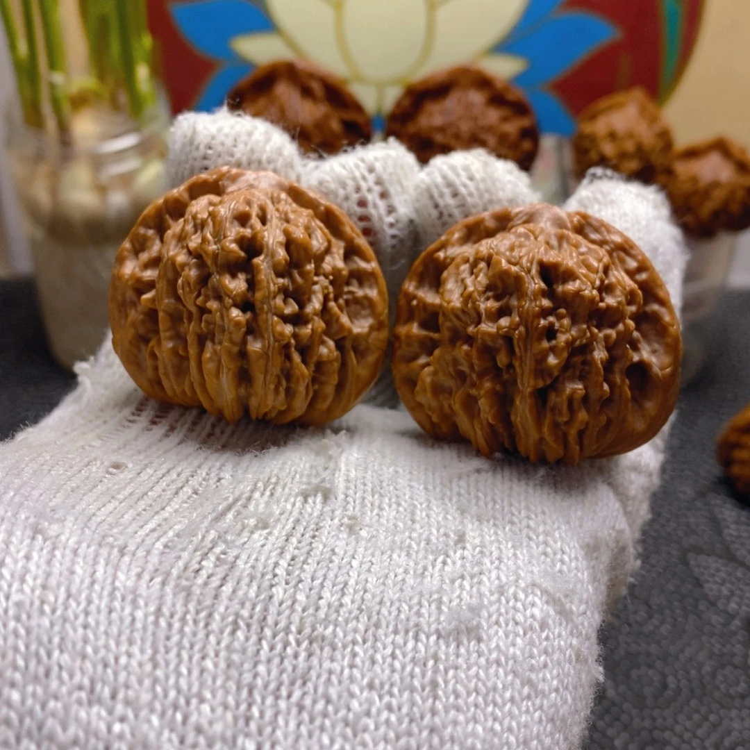 核桃42尺熊儿寨一代楼流水纹