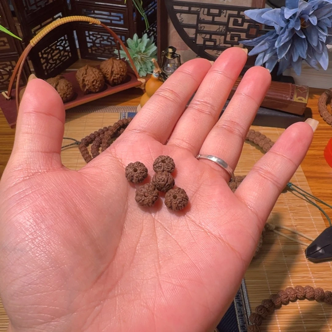 我****金刚菩提吊坠老树王手持收藏9.0