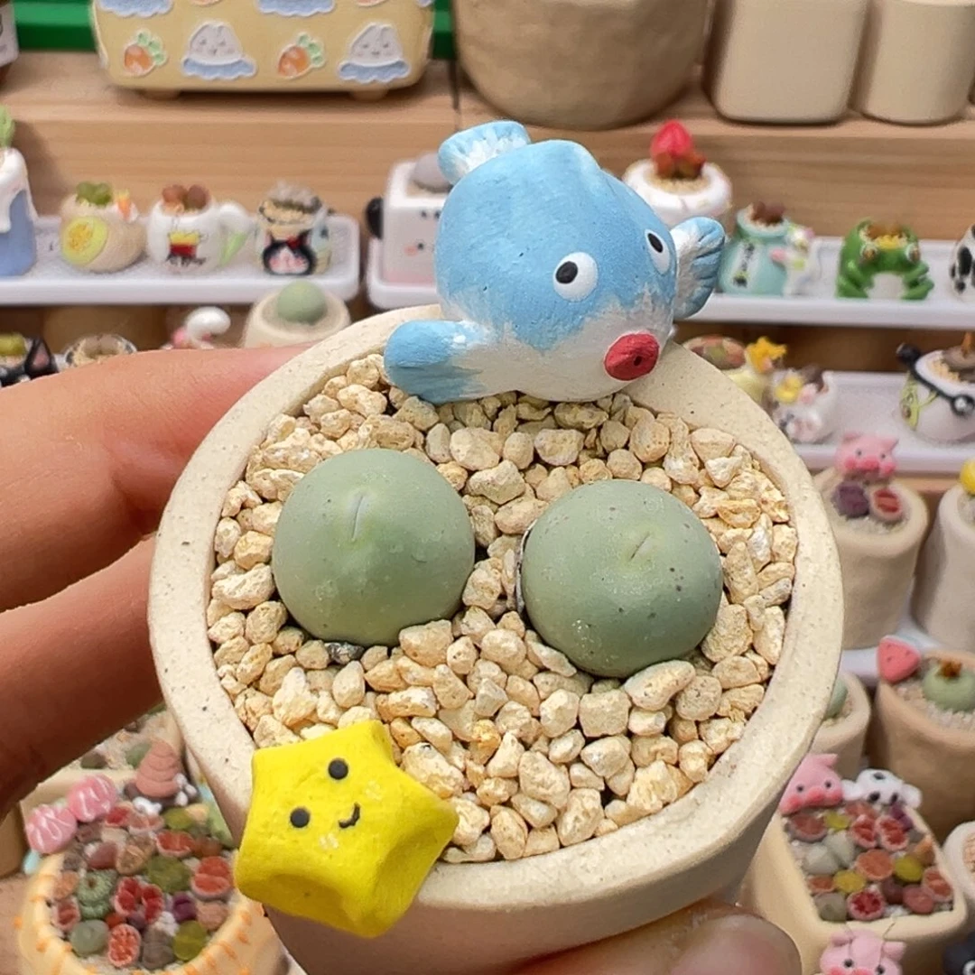 多肉植物98号鸽子蛋