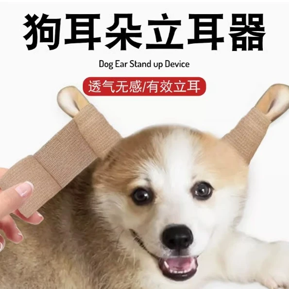 幼犬竖耳辅助器狗耳朵立耳器小狗耳朵立耳器立耳贴无胶水多功能贴