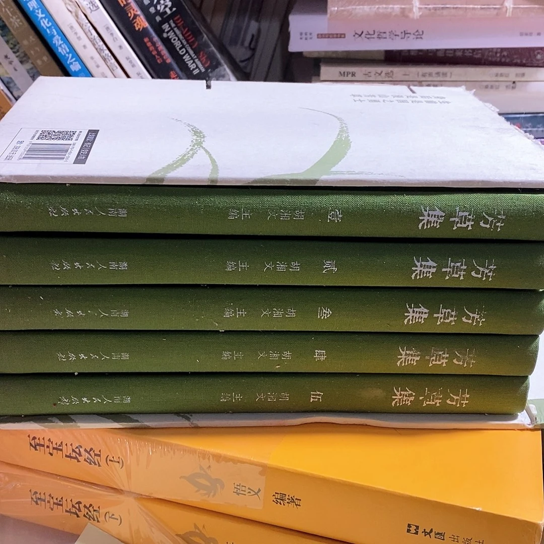 瑕疵锯口   芳草集