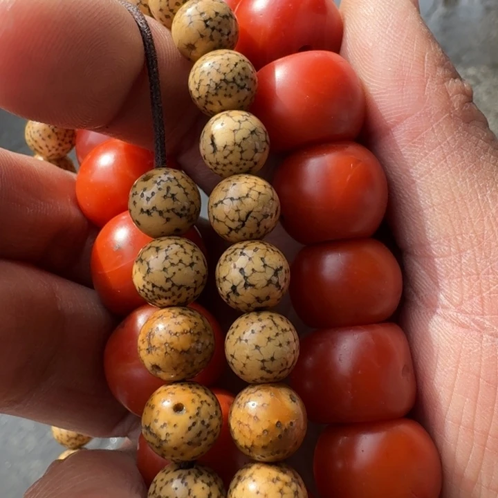 星月菩提吊坠非*哥菩提树等树木的生长发育