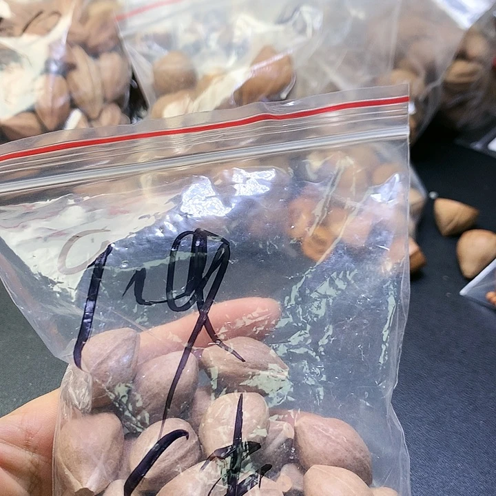 吊坠橄榄核伟苏州橄榄核雕件