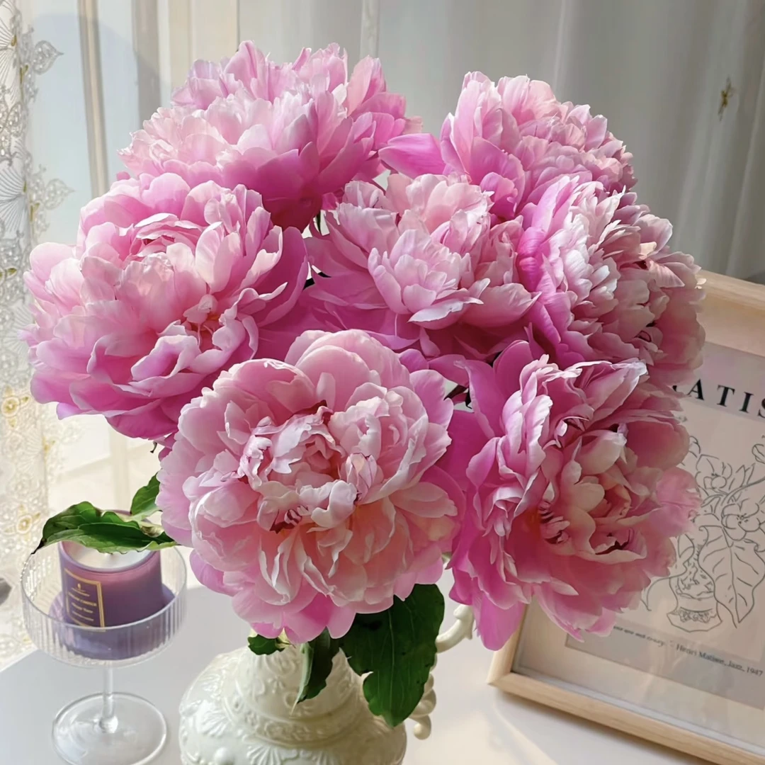 芍药-粉凌红花【1单中通2单顺丰京东包邮】鲜花