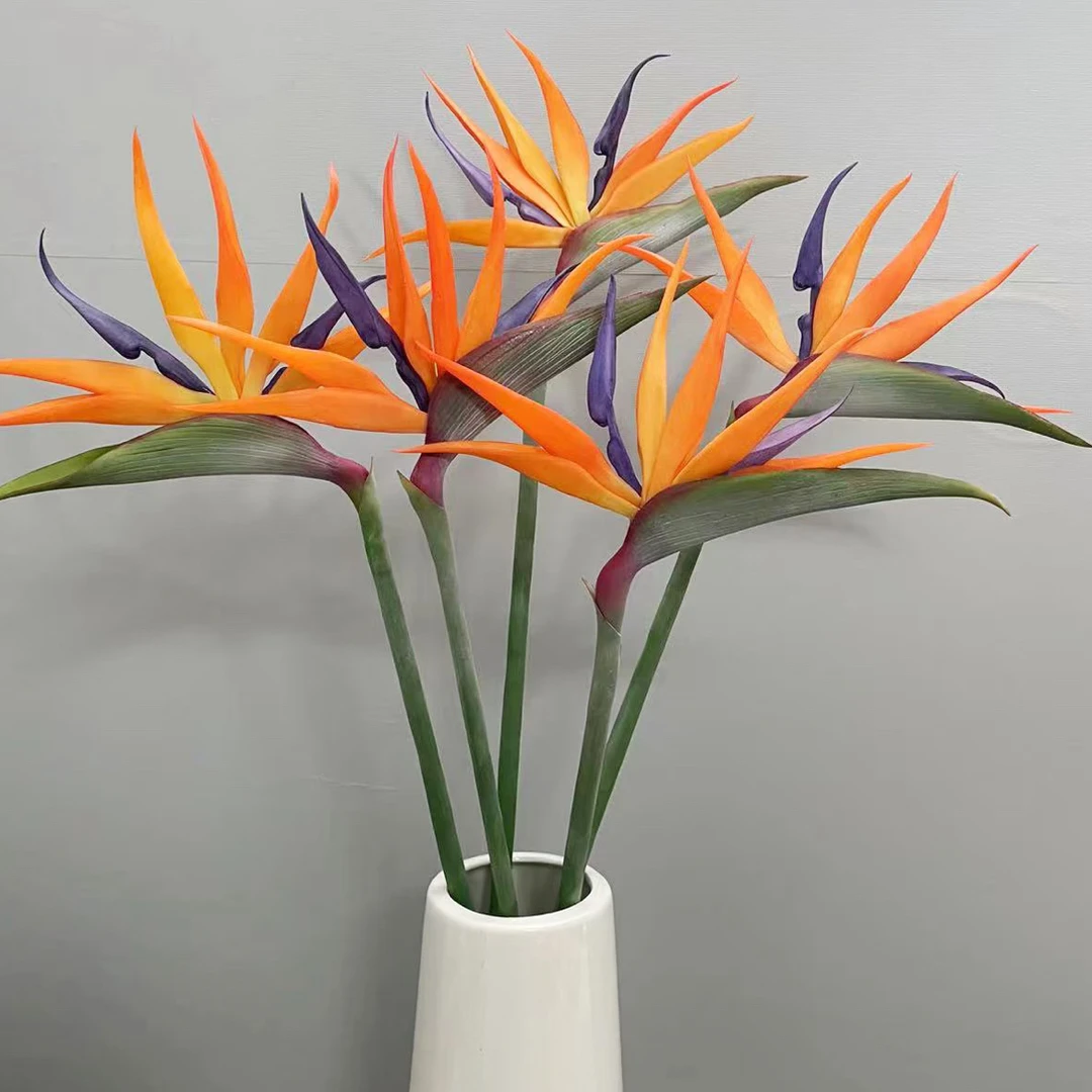 天堂鸟（3枝）花期长
