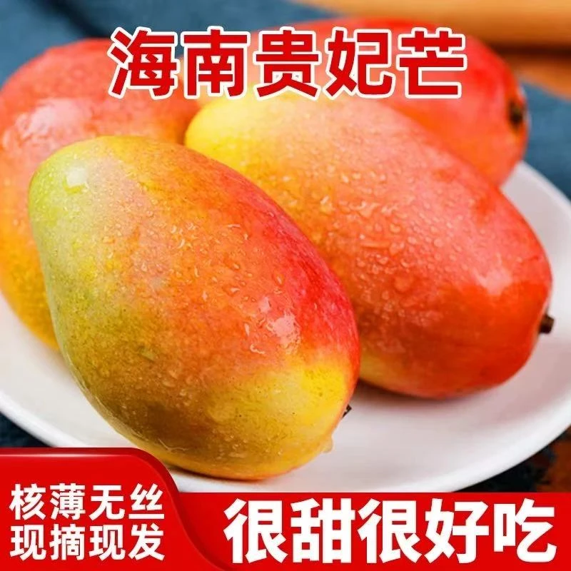 海南贵妃芒果新鲜时令水果甜心芒果园现摘皮薄核小 需放软食用DR
