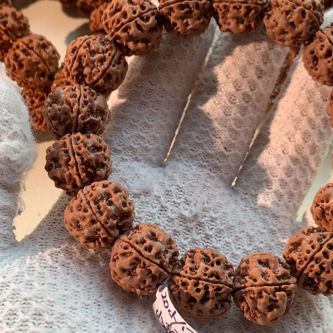 金刚菩提吊坠古龙粗筋双龙20尺寸小超