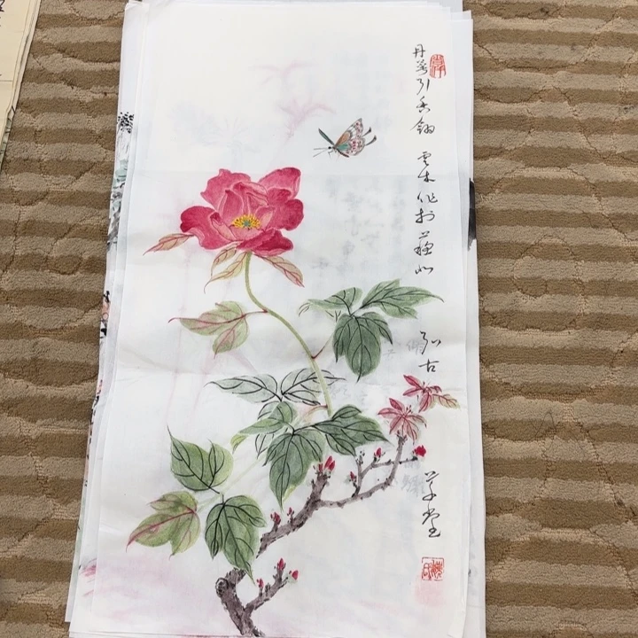 国画花鸟的翅膀和翅膀